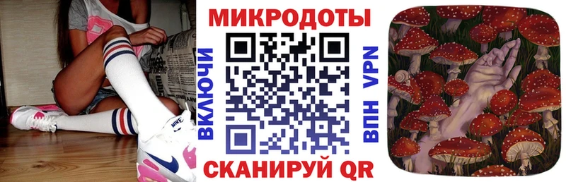 Купить где  Кинель  Псилоцибиновые грибы мицелий 
