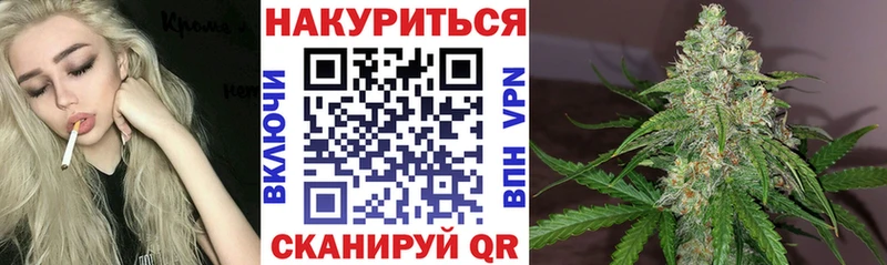 Конопля гибрид  Купить где  Кинель 